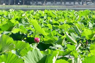 首轮被淘汰！日本后卫富永启生泪洒疯三赛场